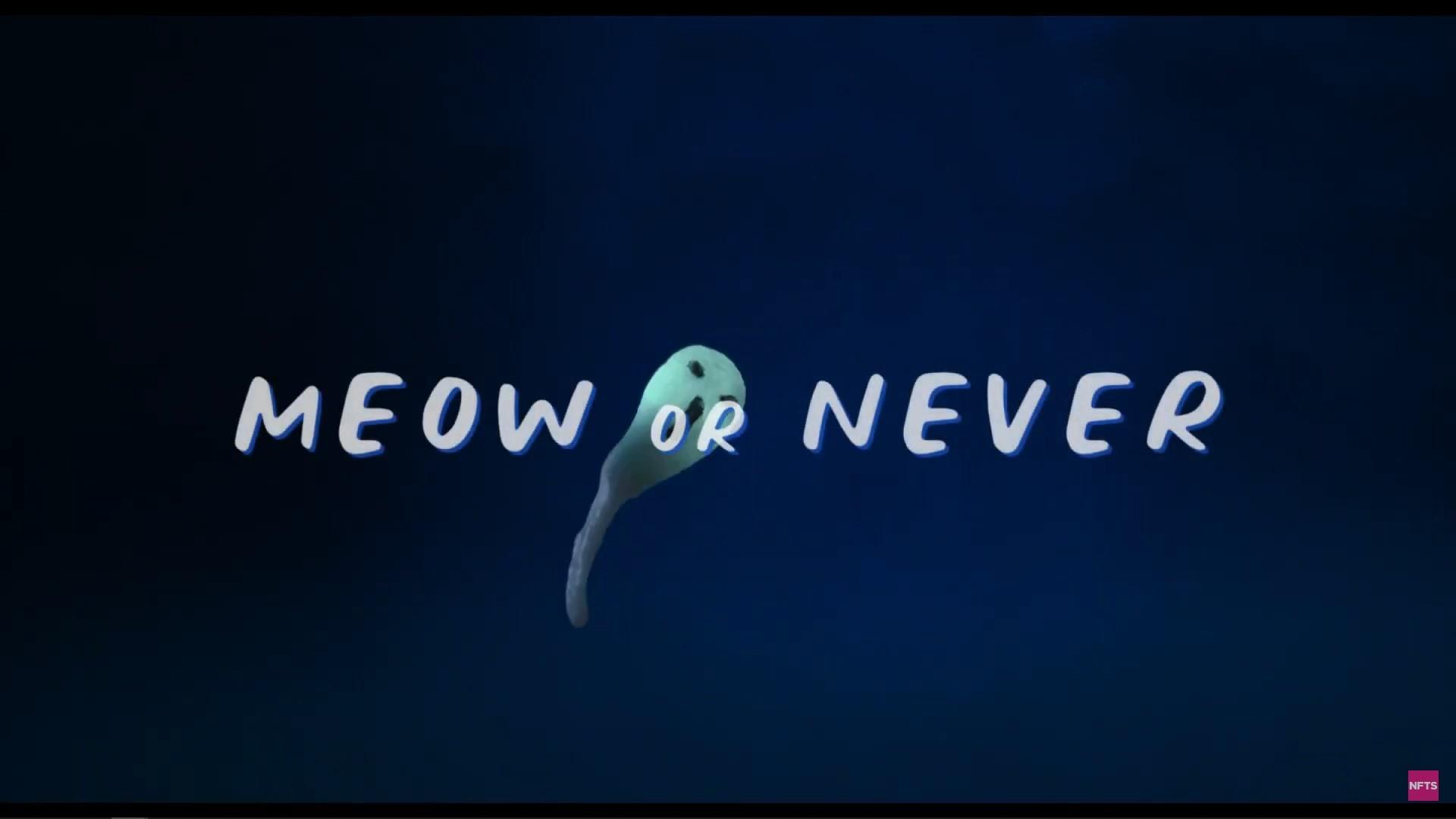 Meow or Never (2020)