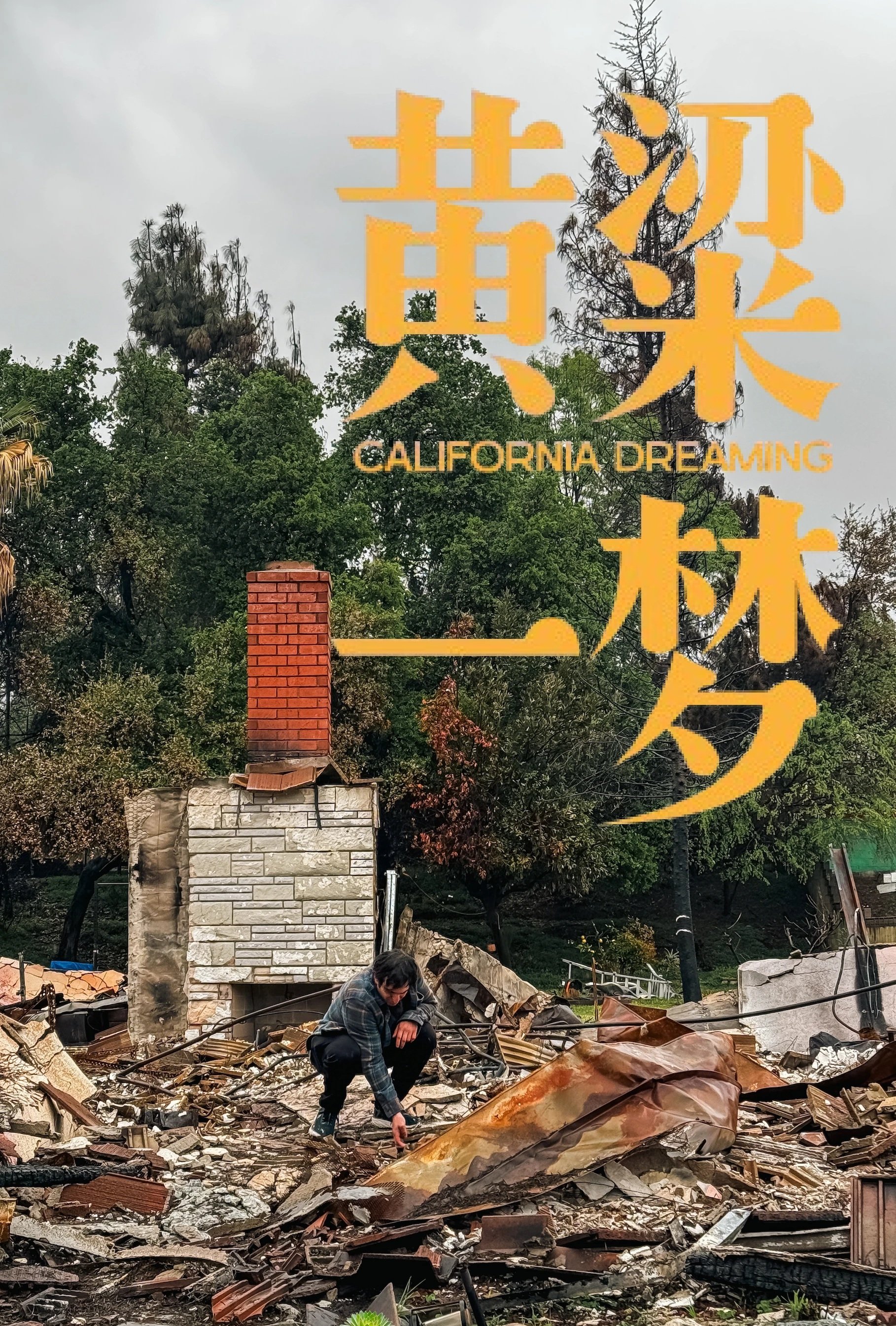 美洲大宝荐:黄粱一梦