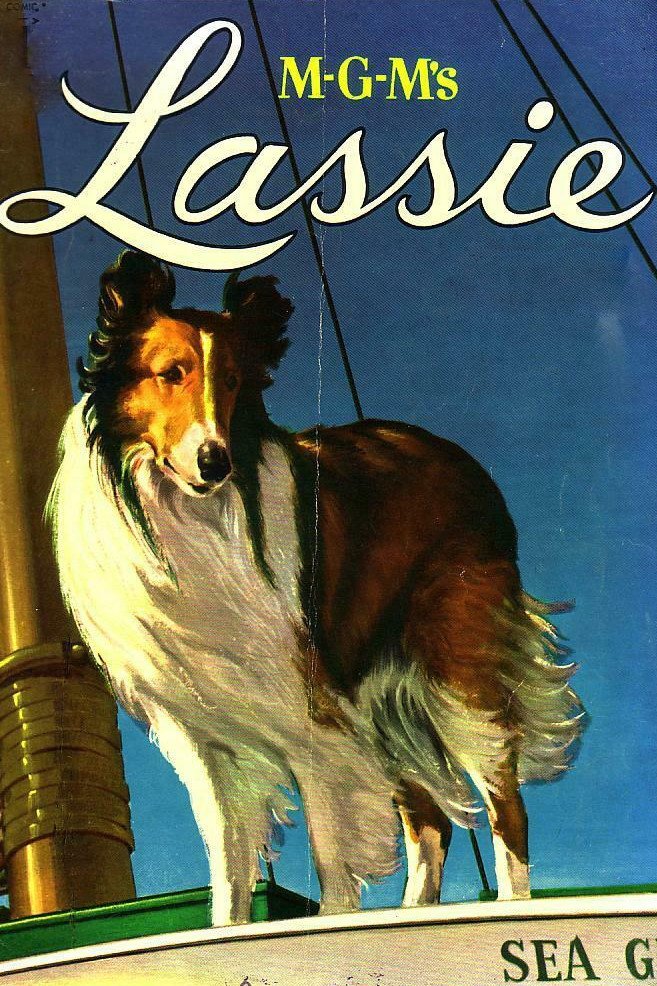 Courage of Lassie Original 1946 Argentine Movie Poster