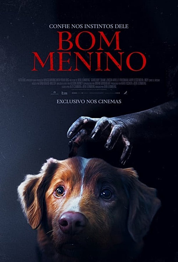 Bom Menino