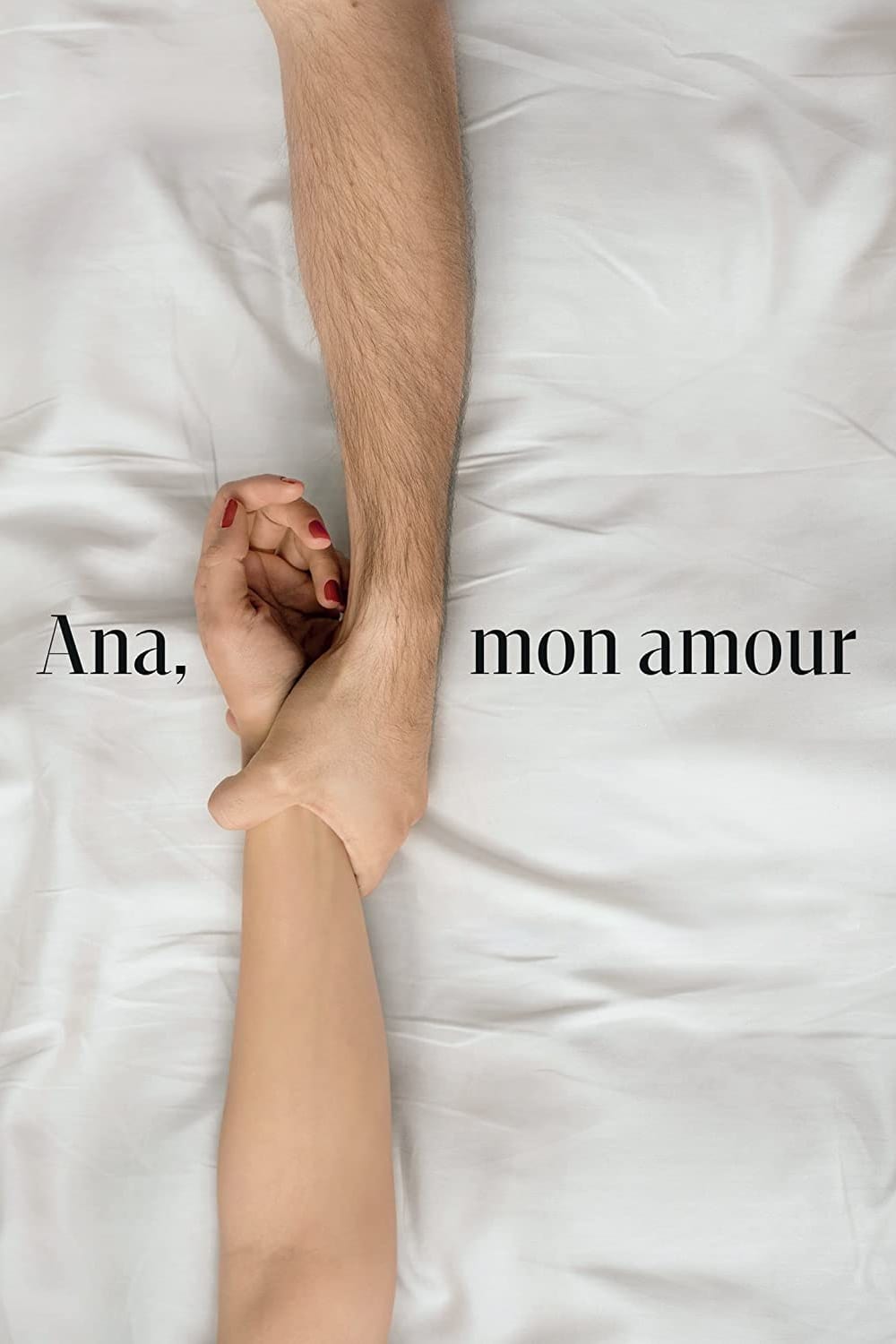 Affiche du film Ana, mon amour 15073