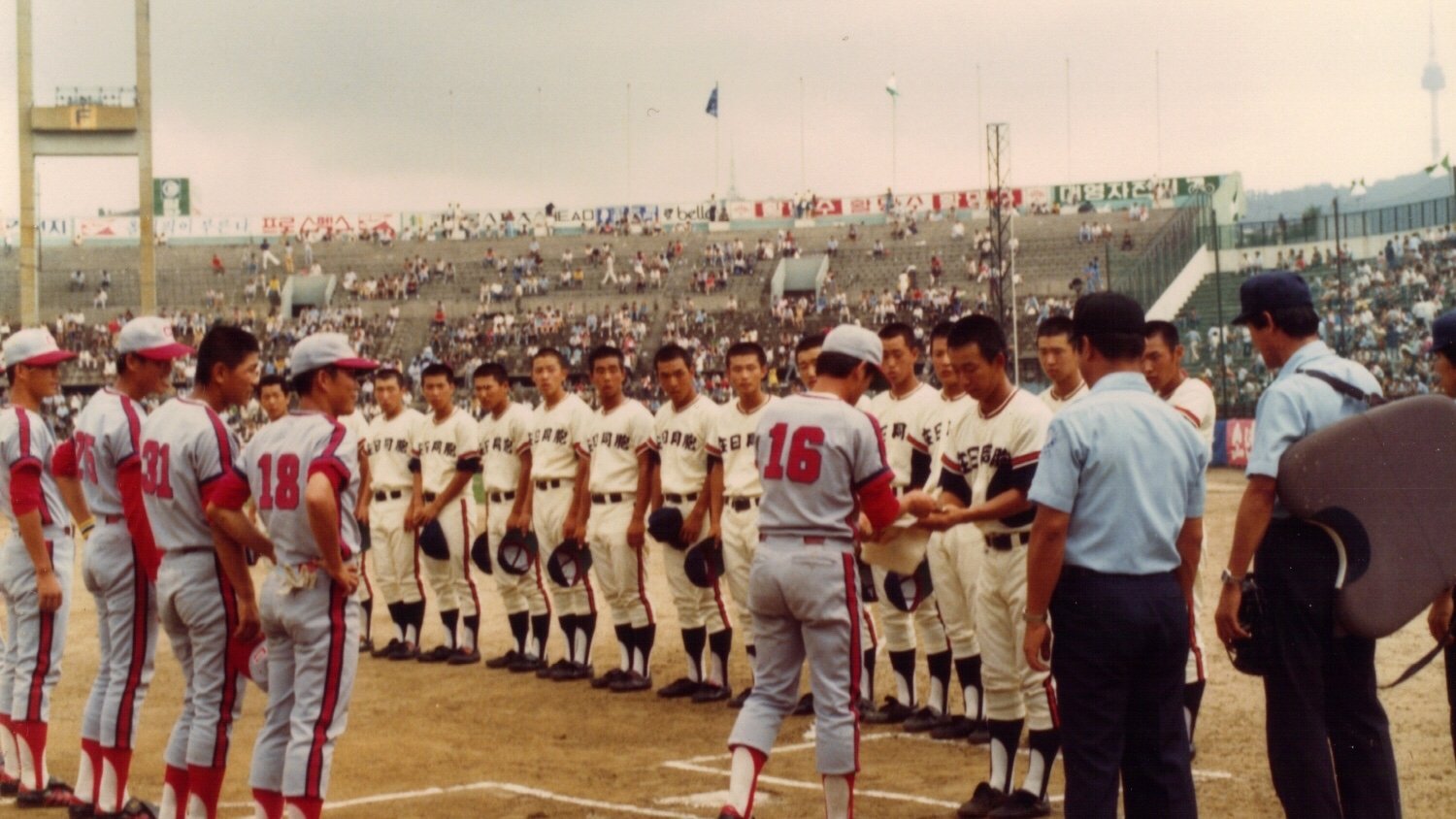 Strangers on the Field (2015)