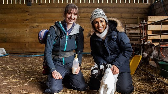Countryfile 33x10