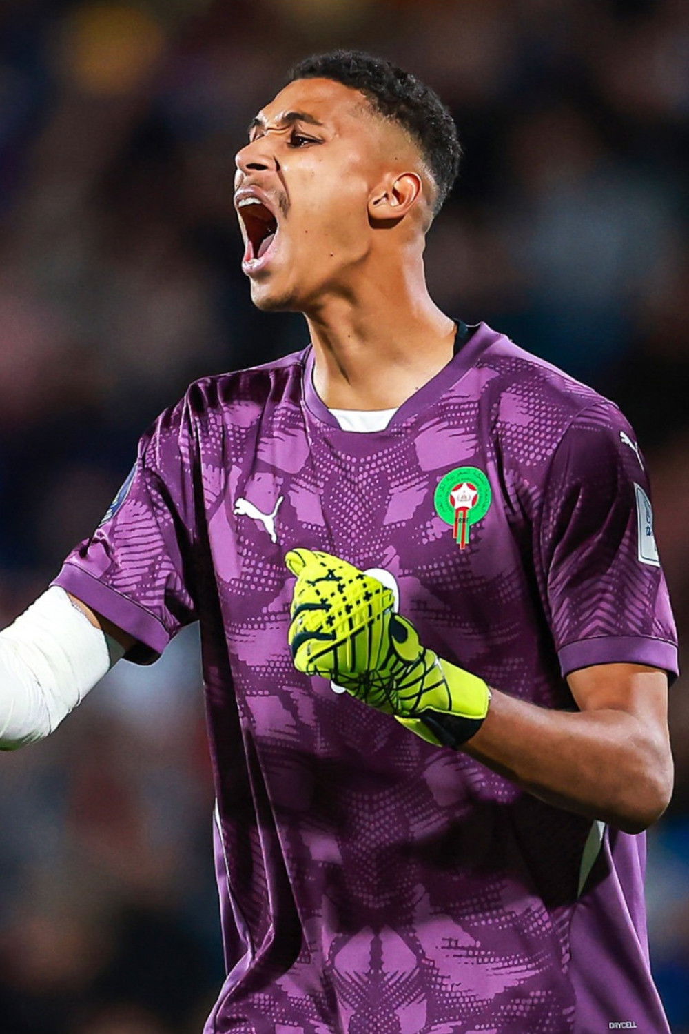 et billede af Ibrahim Gomis