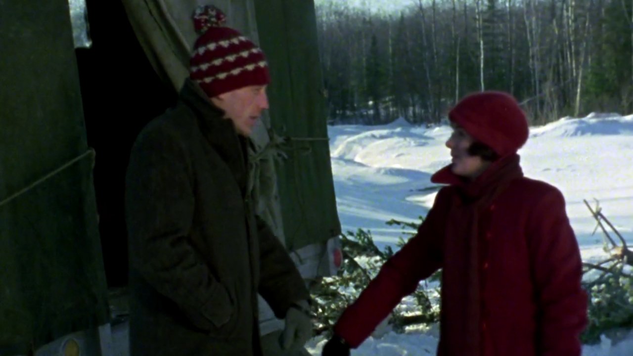 L'âge de la machine (1978)