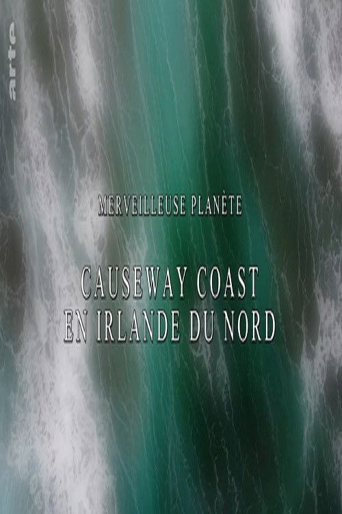 Merveilleuse planète - Causeway coast en Irlande du nord