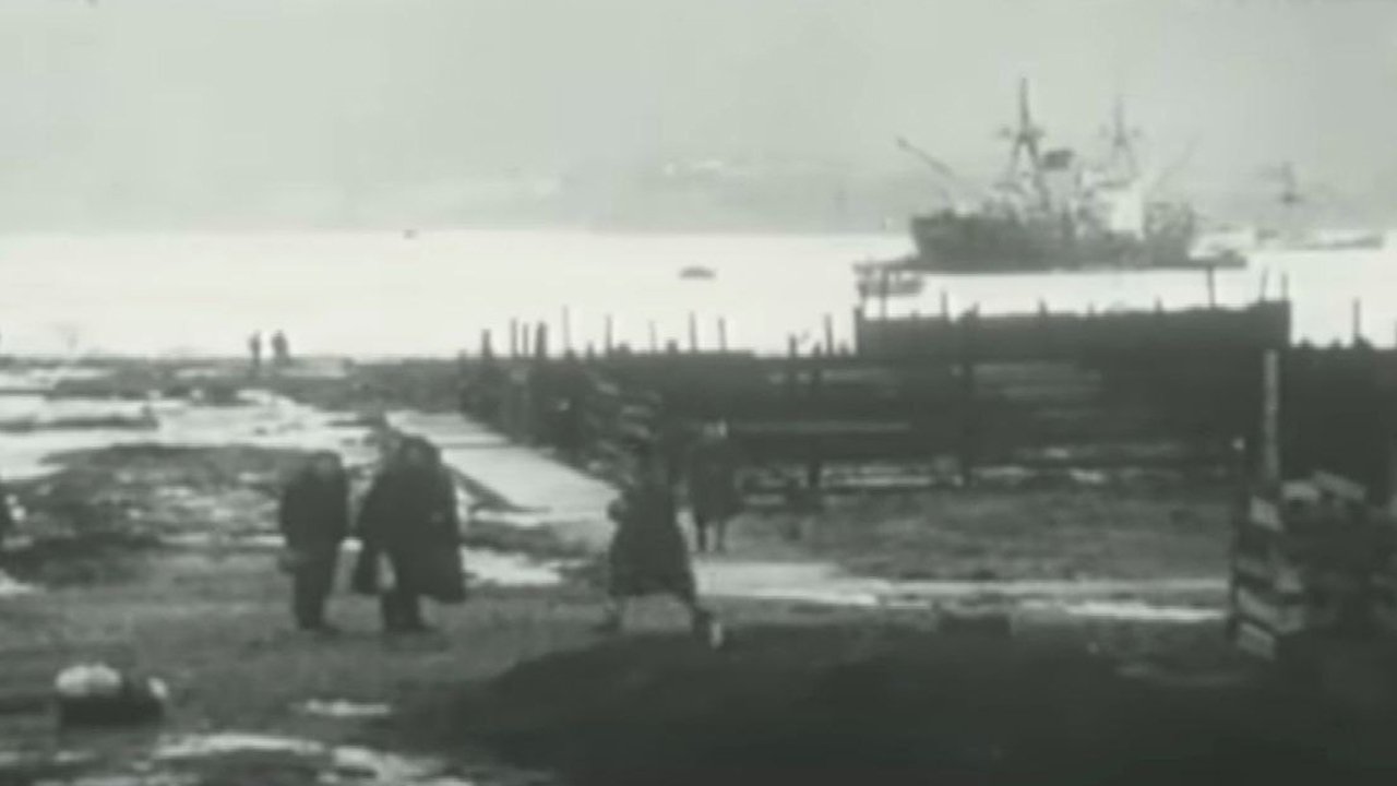 Valdivia 1960, El Gran Terremoto (1992)