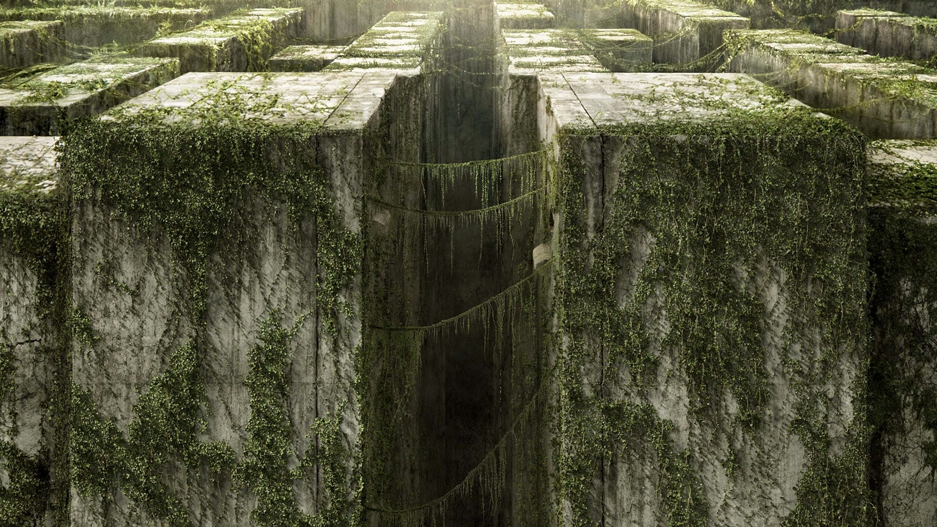 The Maze Runner (2014)