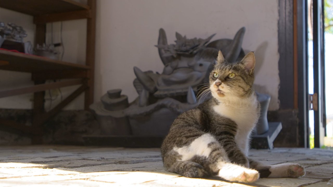 A Cat's-Eye View of Japan - Épisode 7