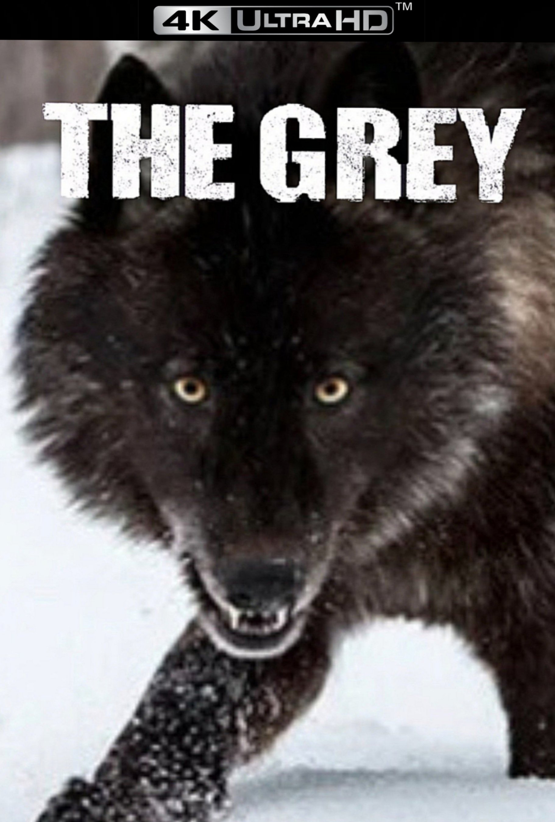 The Grey