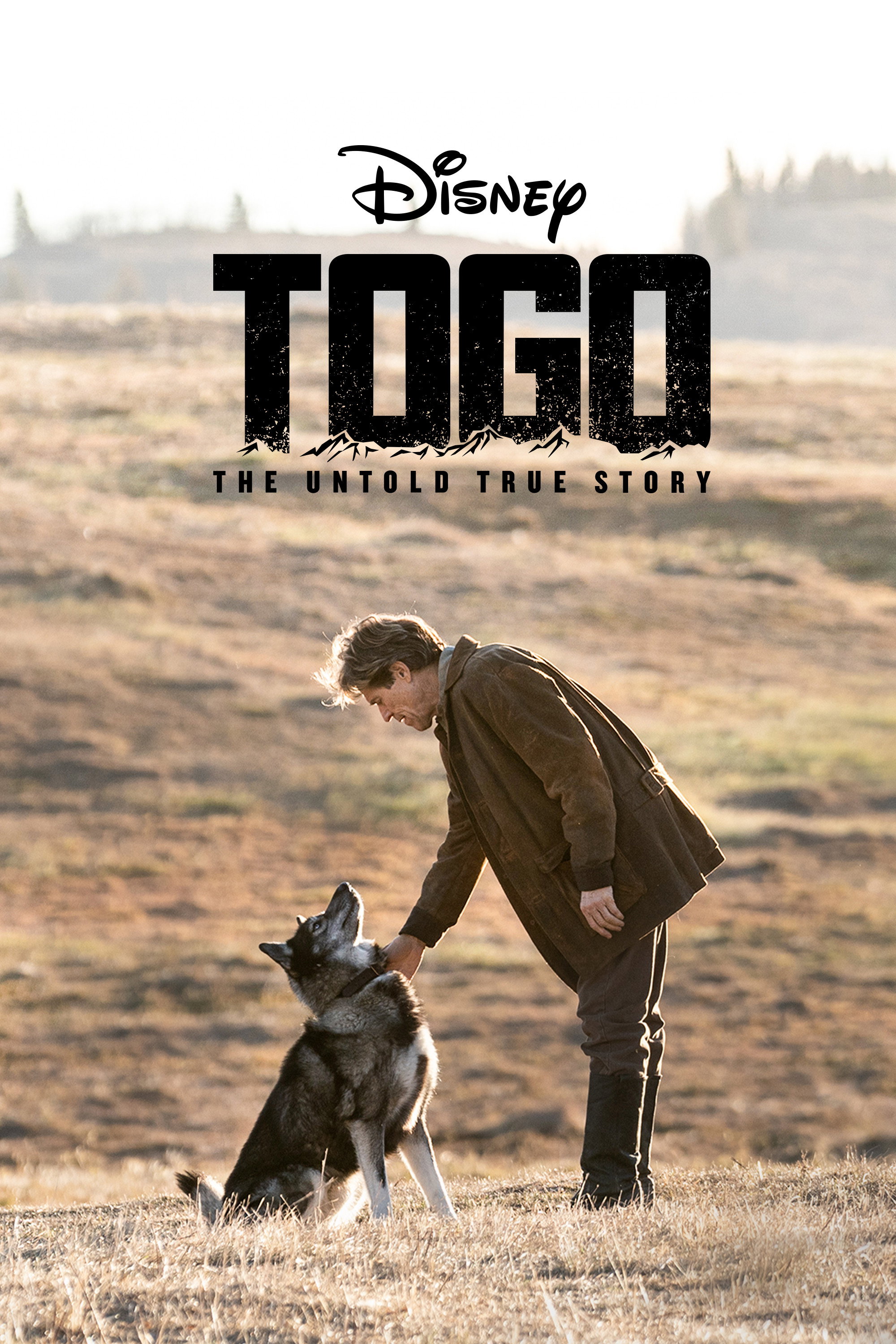 Togo 2019 Posters The Movie Database TMDB 
