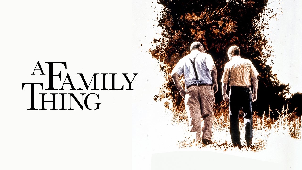 A Family Thing (1996)