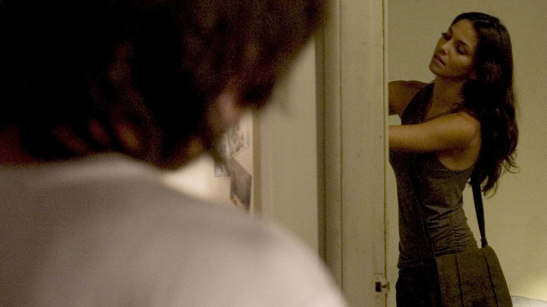 Stray Dog (2007)