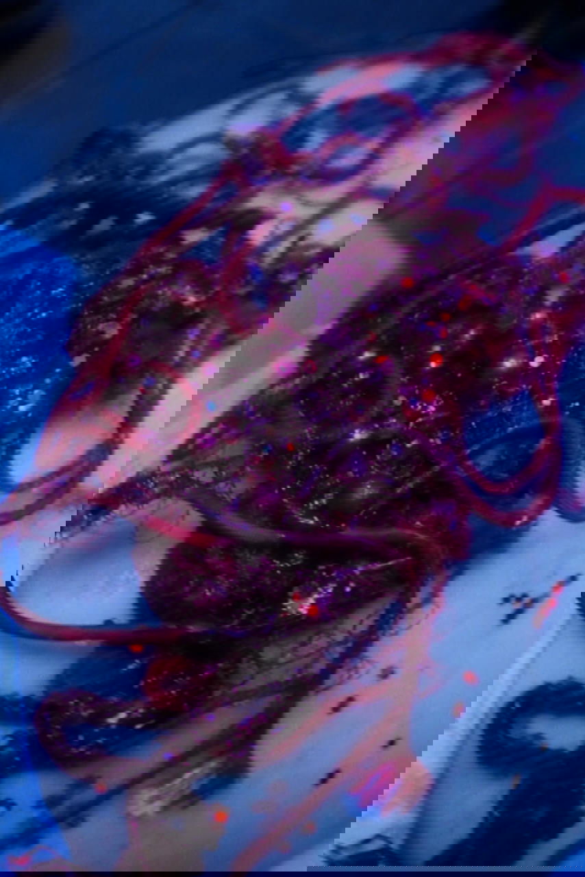 Silk