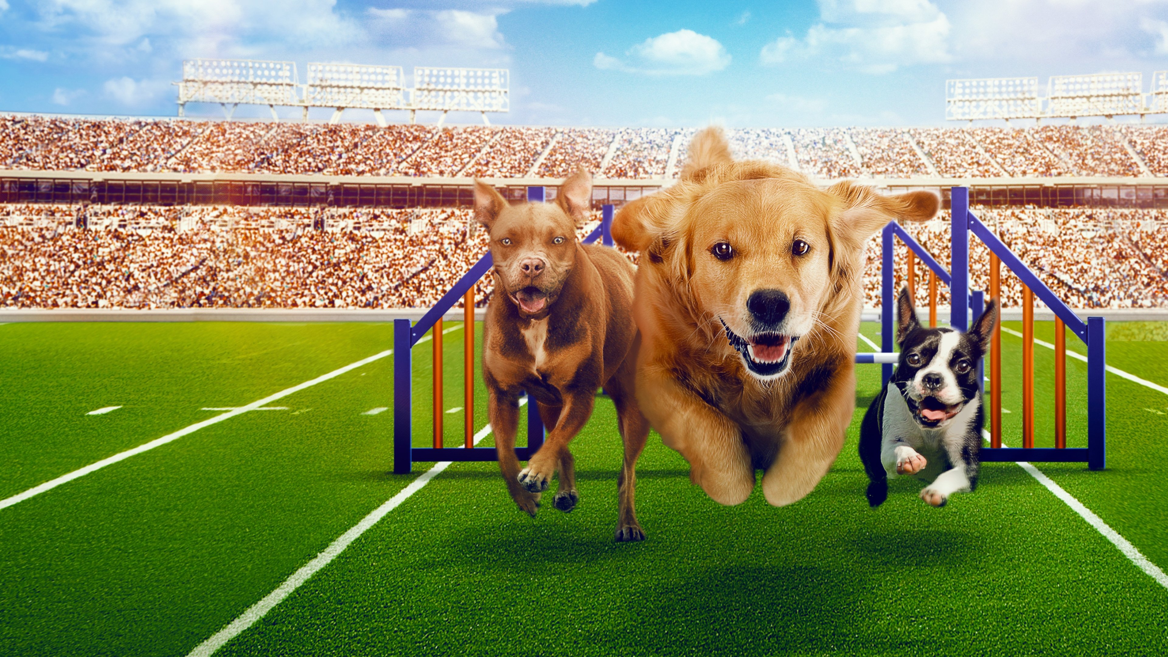 Puppy Bowl Presents: The Dog Games (2021)