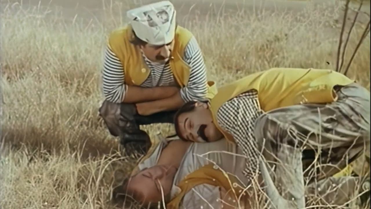 Thermometer (1976)
