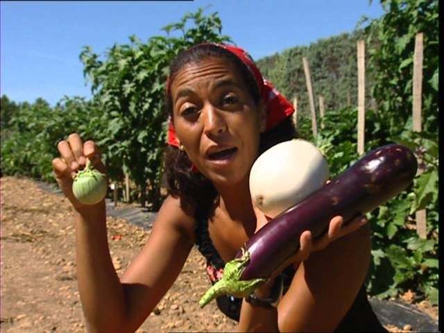 C'est pas sorcier - Les fruits et légumes : un jardin extraordinaire