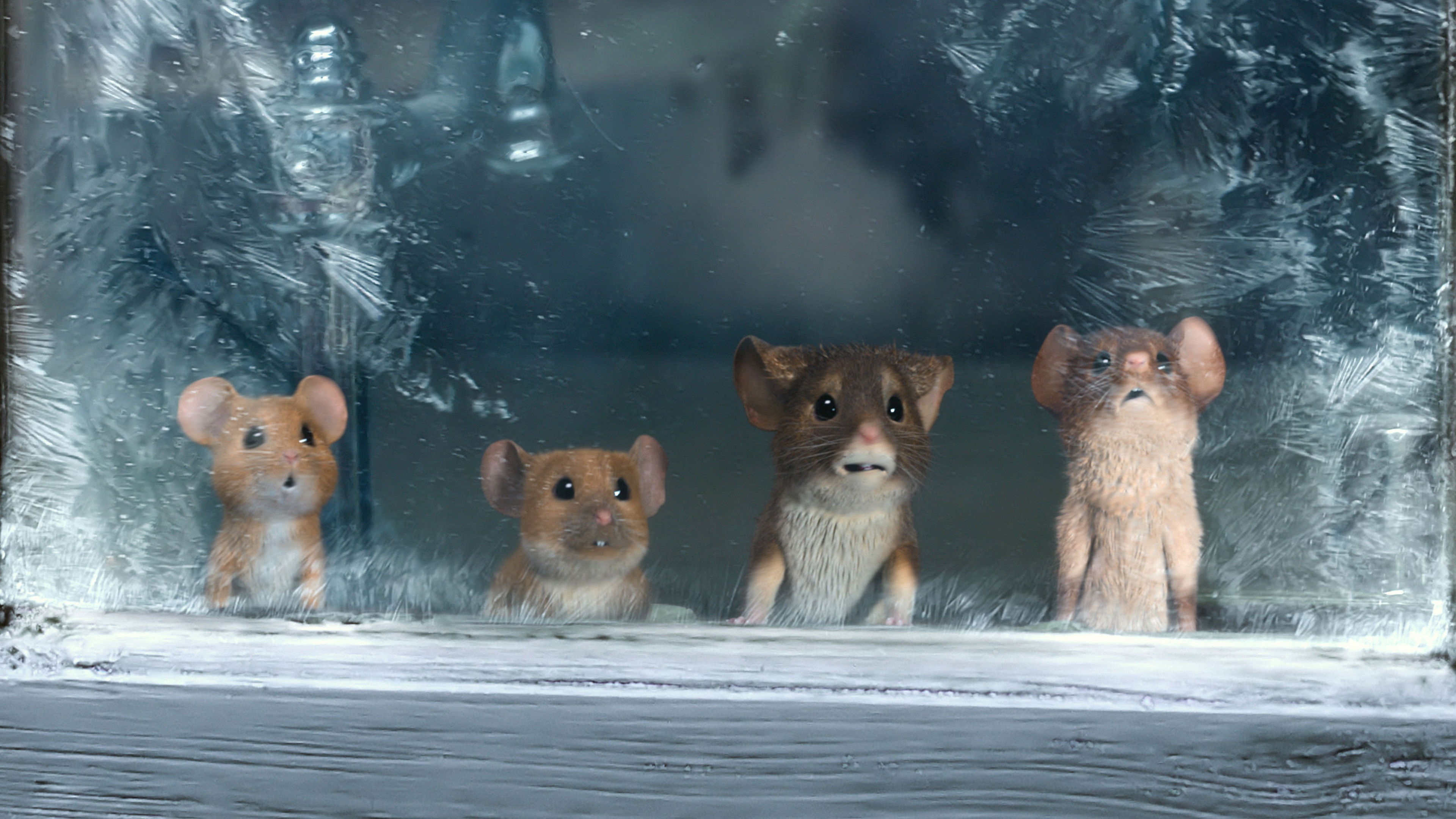 A Mouse Hunt for Christmas