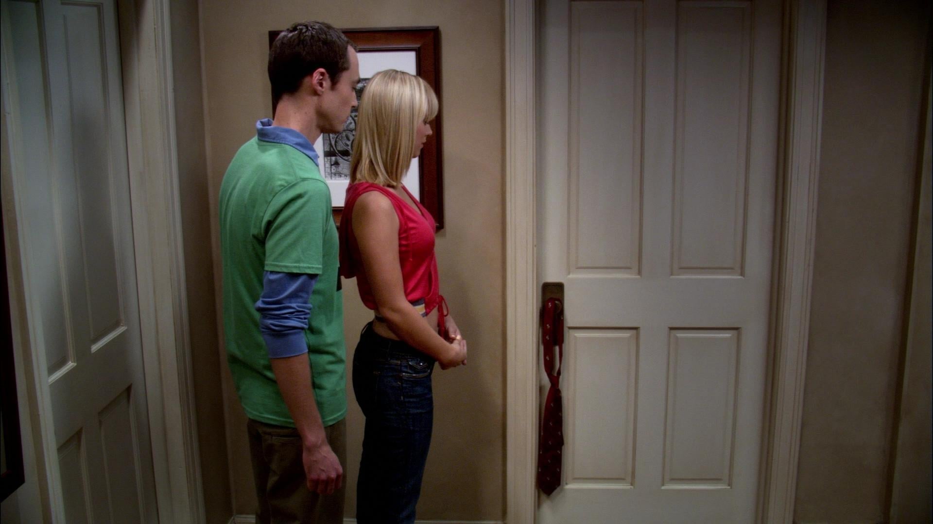 The Big Bang Theory Staffel 1 :Folge 5 