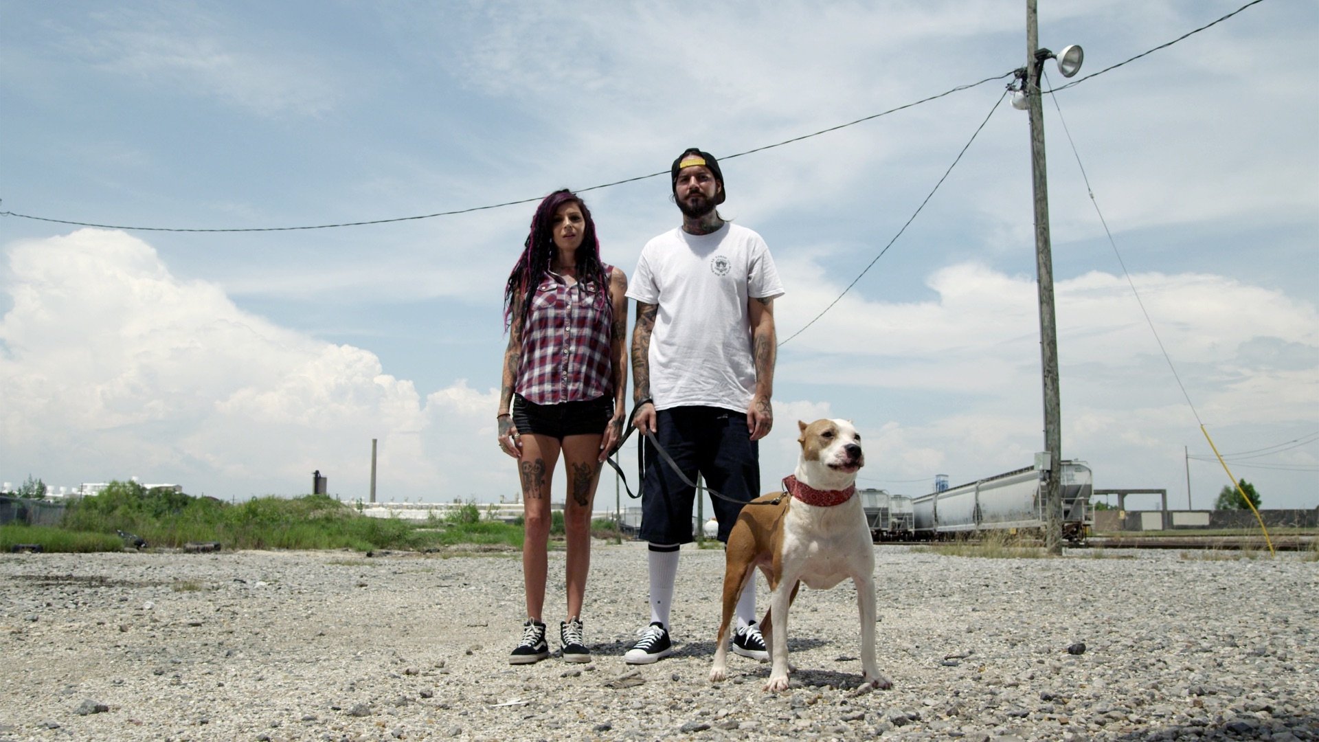 Pit Bulls and Parolees