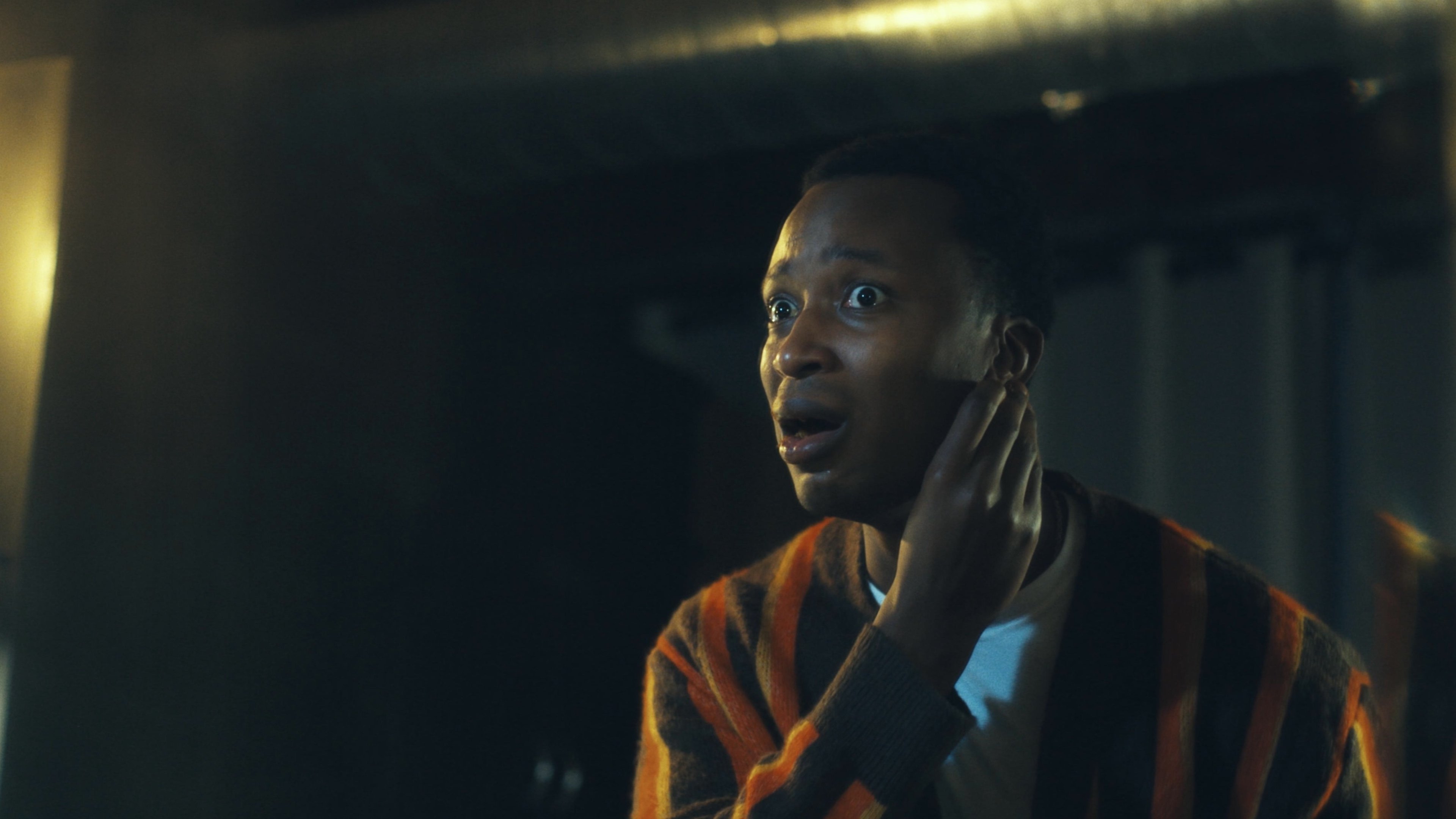 The Housefly (2023)