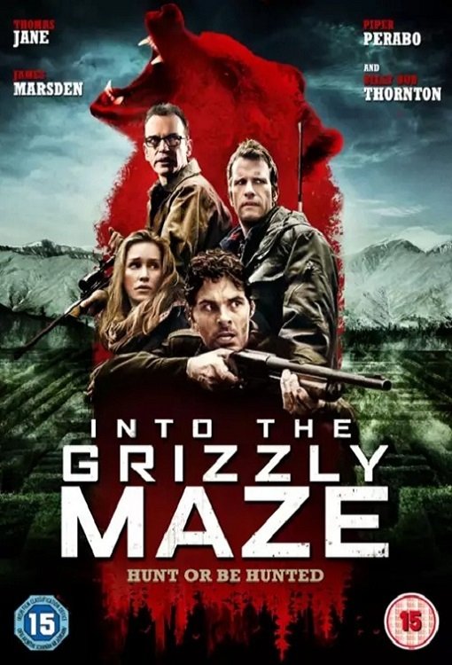 Into the Grizzly Maze