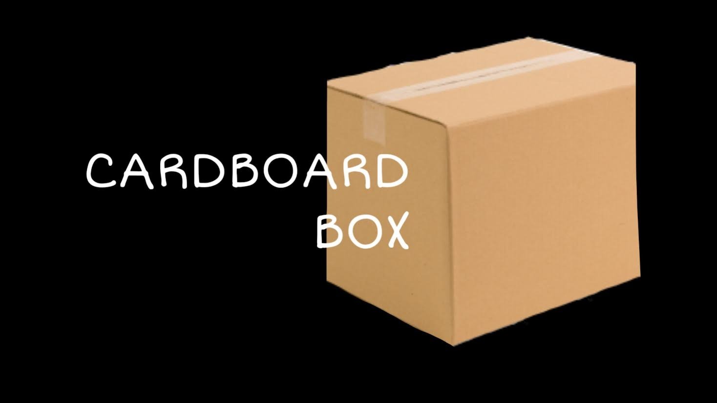 Cardboard Box (2024)