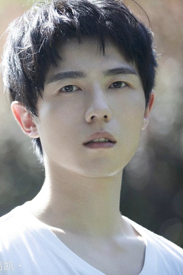 et billede af Gao Kai