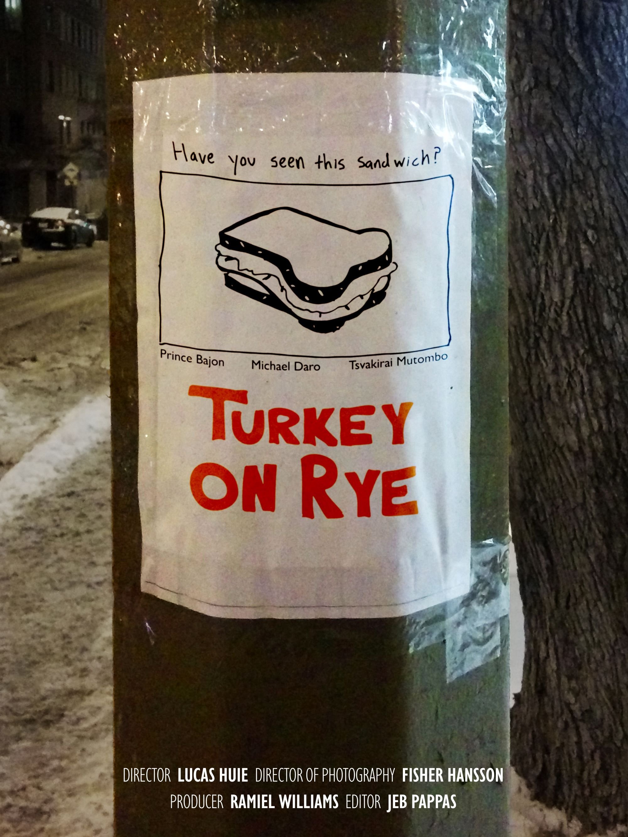 Turkey on Rye
