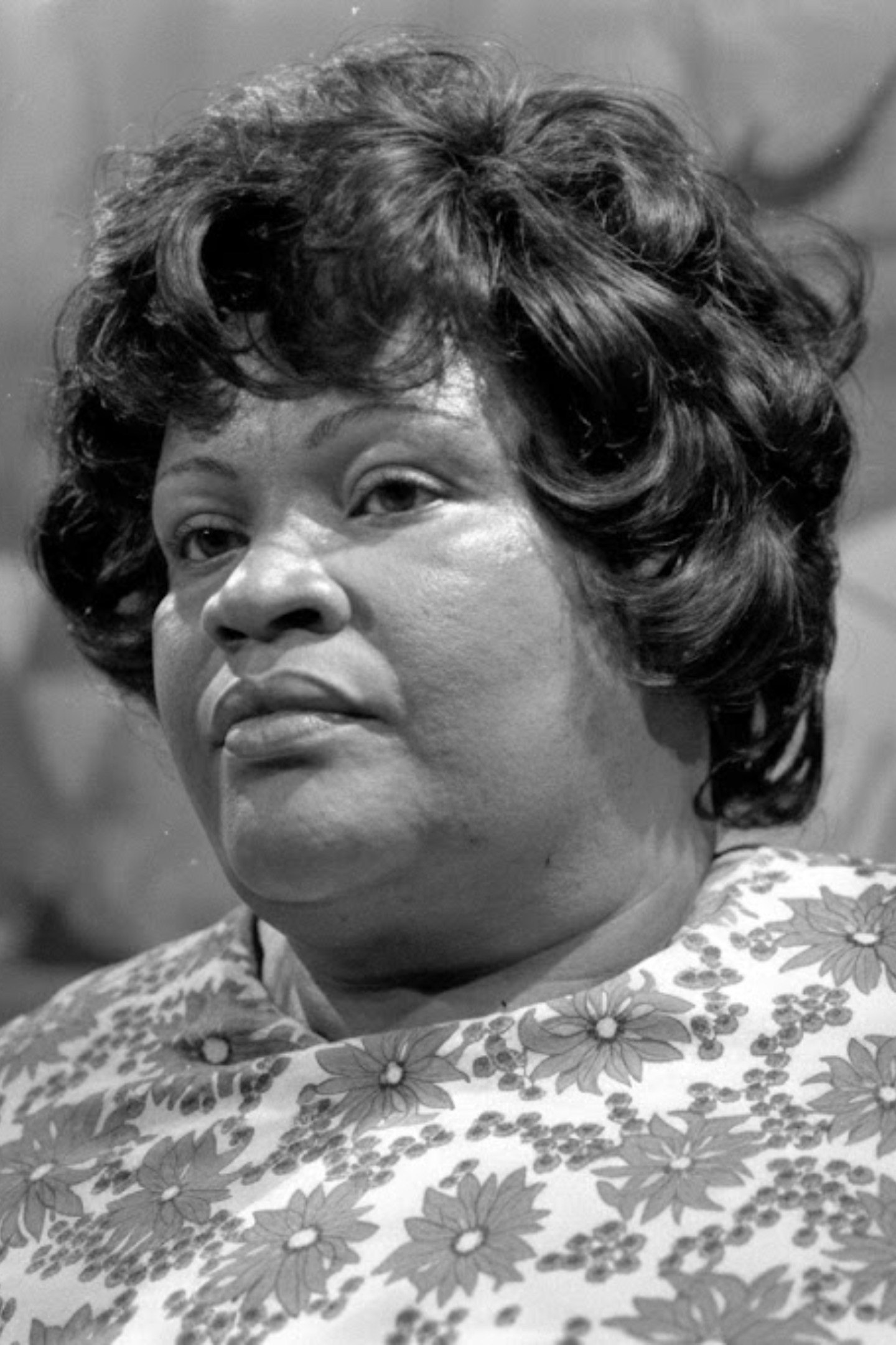 et billede af Zeni Pereira