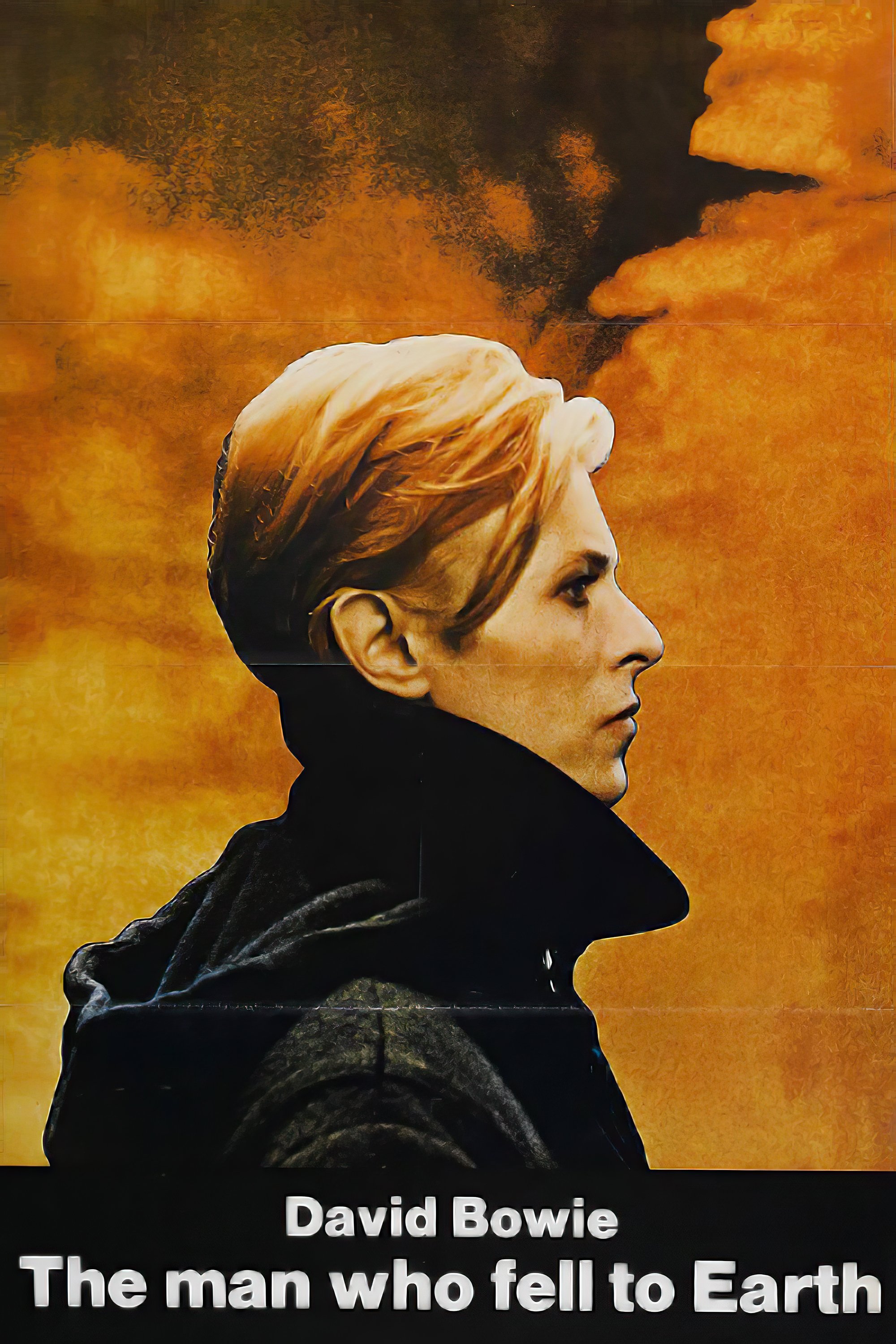 The Man Who Fell to Earth