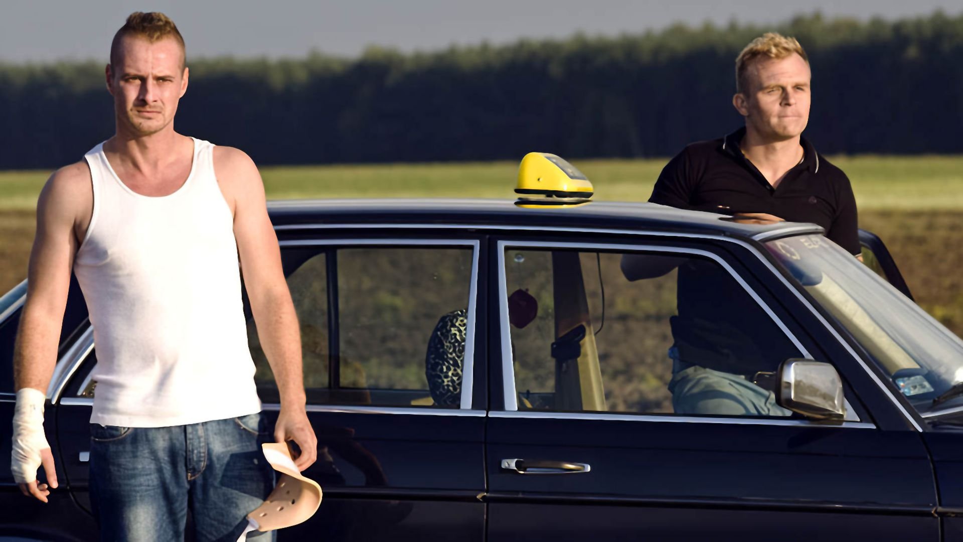 Flying Pigs (2010)
