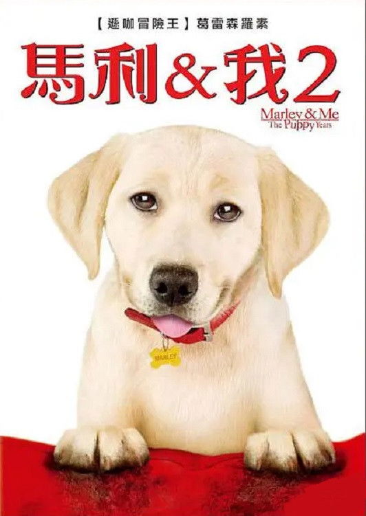 马利和我：小狗岁月