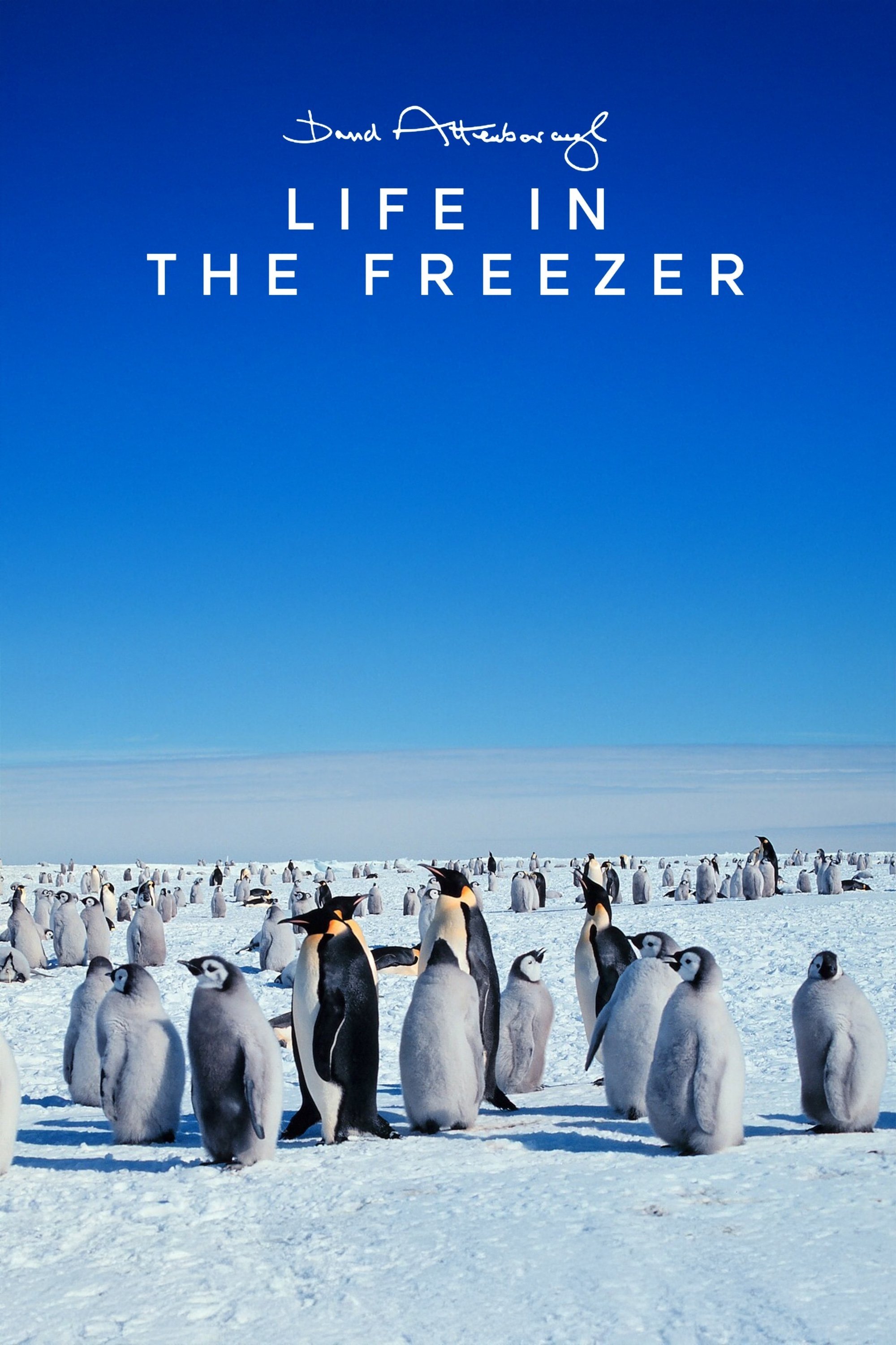 Life in the Freezer - Season 1
