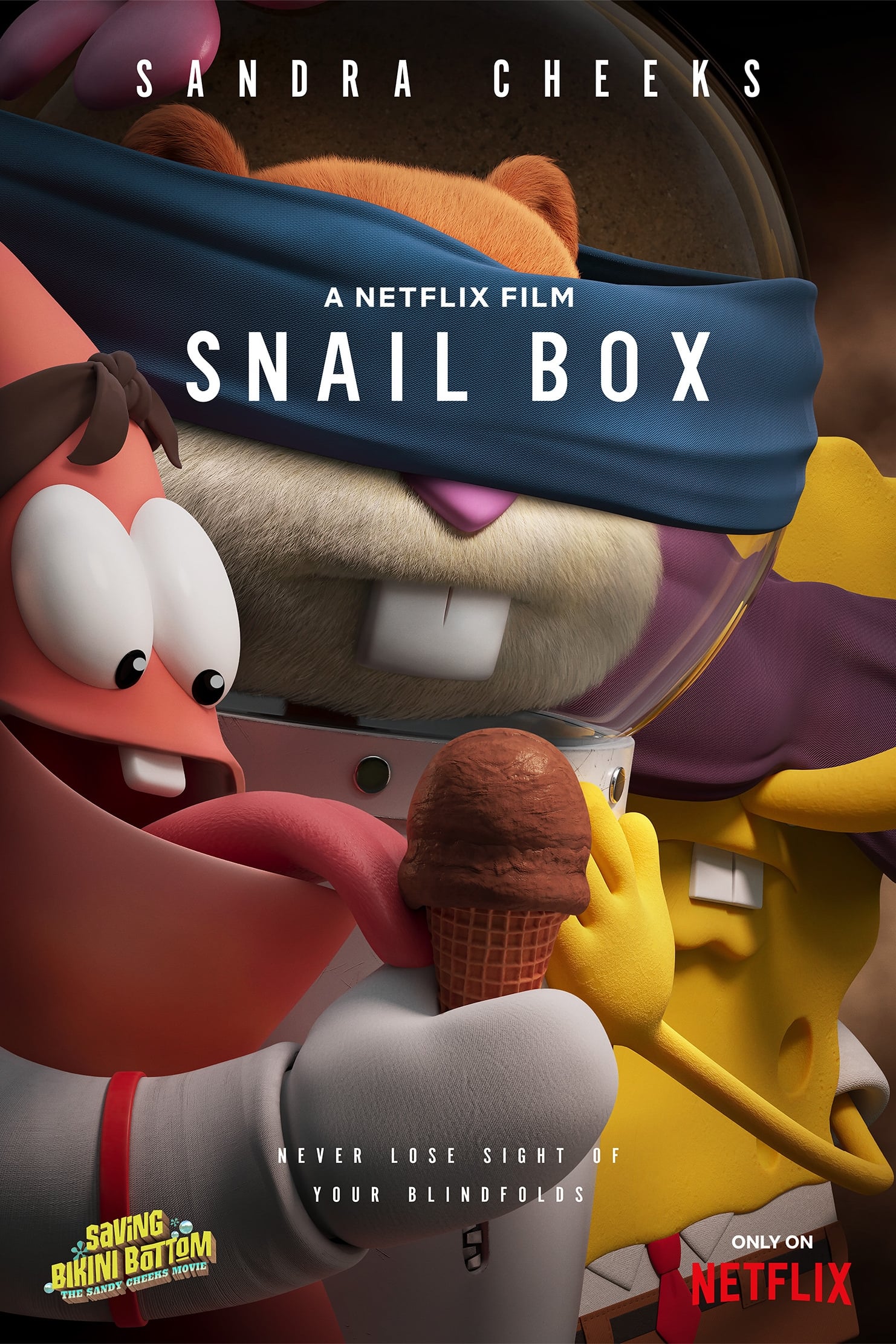 Saving Bikini Bottom: The Sandy Cheeks Movie