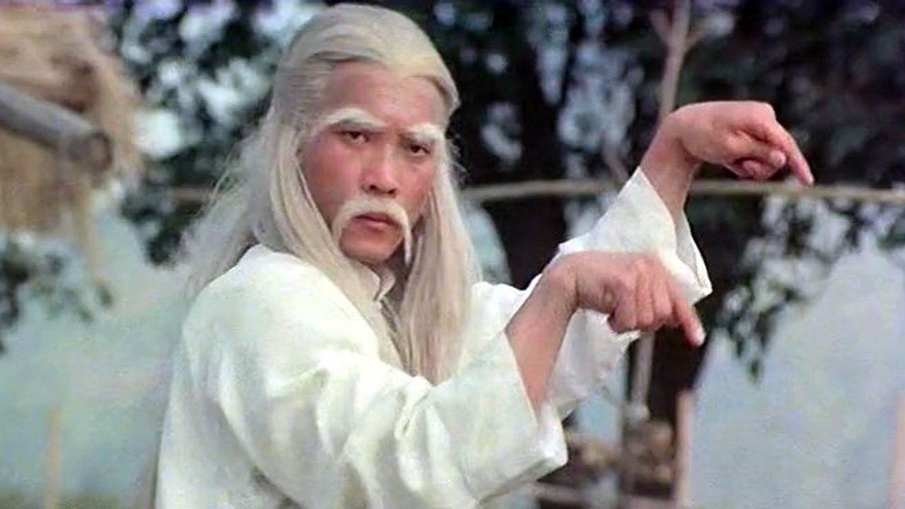 Nan bei zui quan (1979)