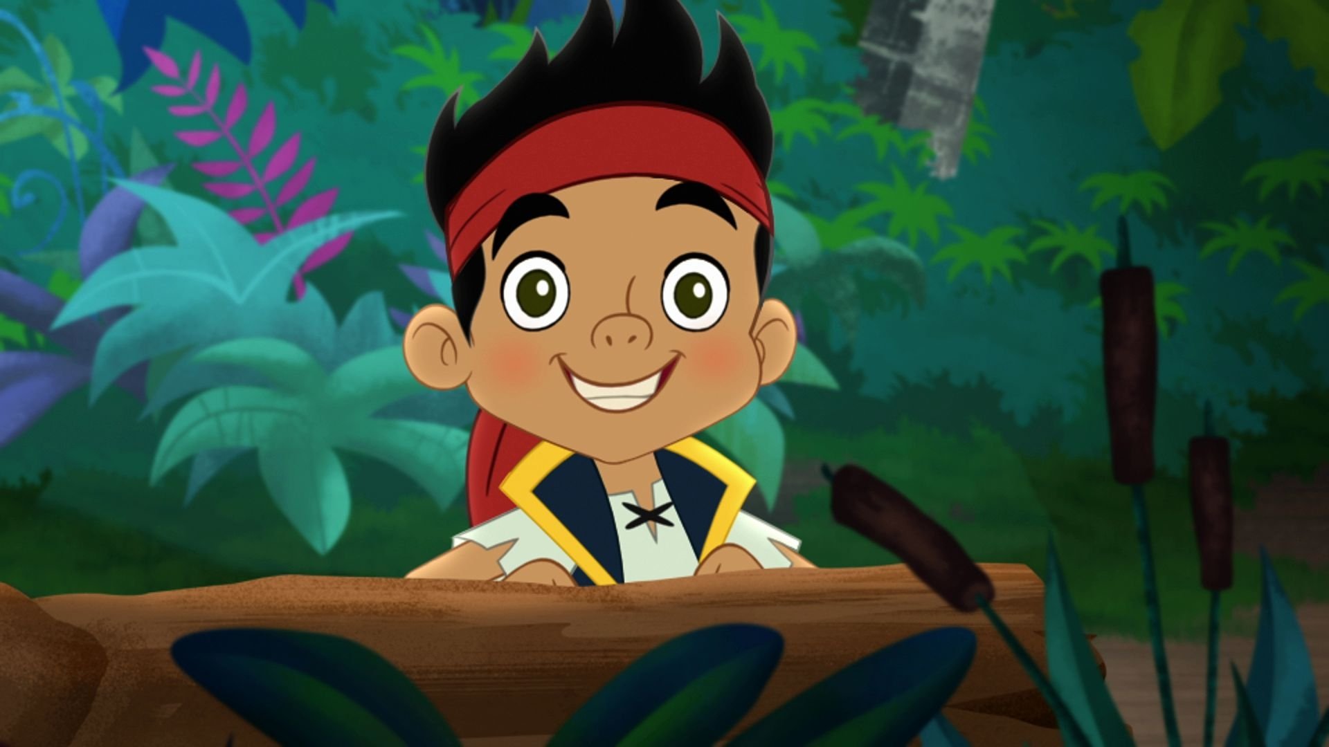 Jake and the Never Land Pirates