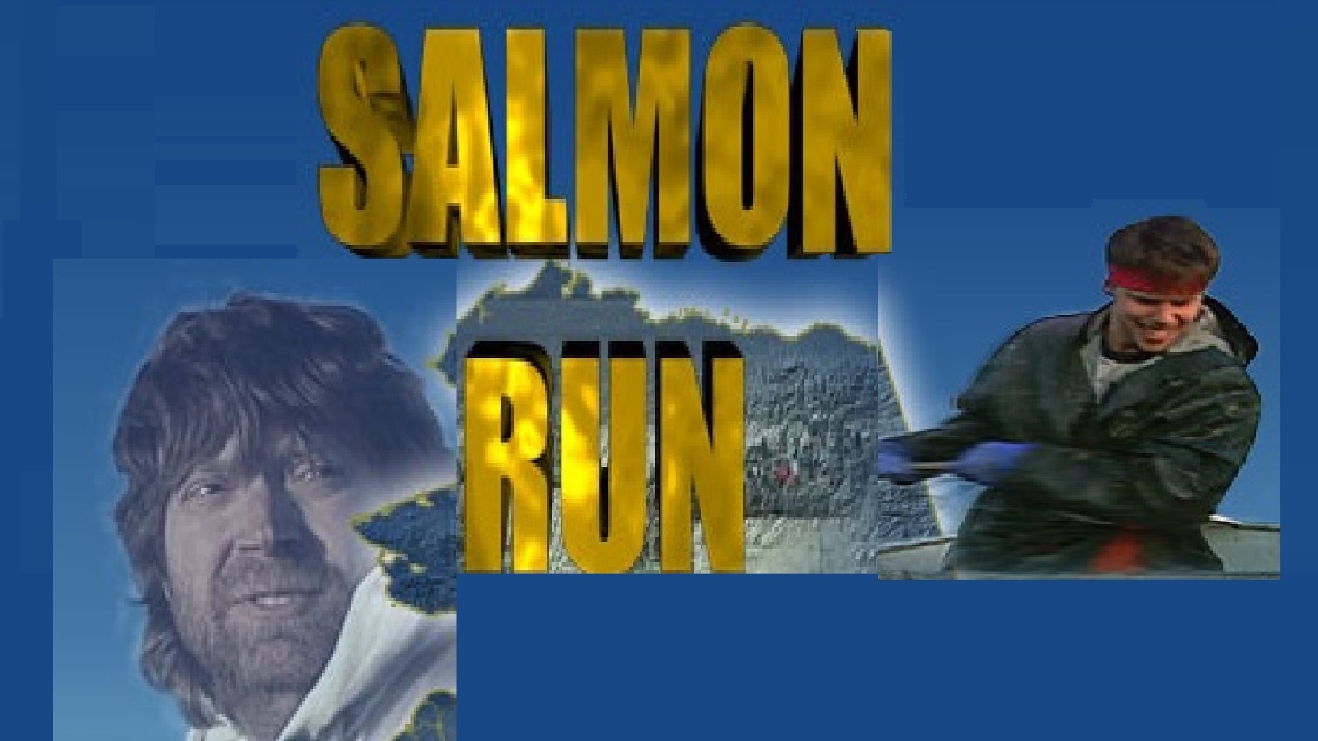 Salmon Run (2003)
