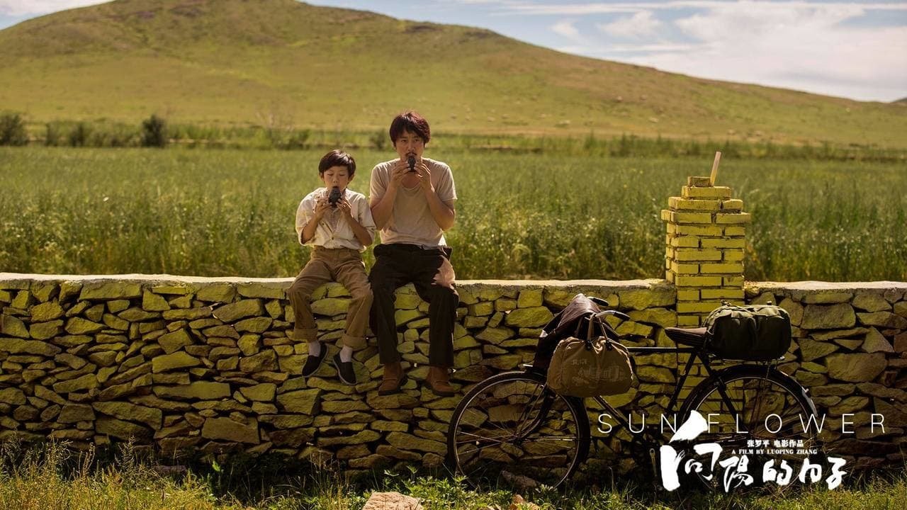 Sun Flower (2018)
