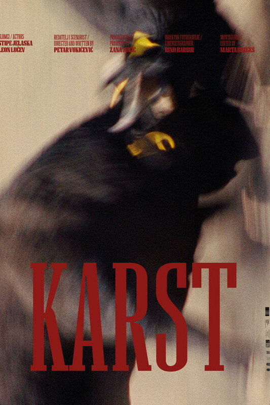 Between Karst and a Hard Place Poster