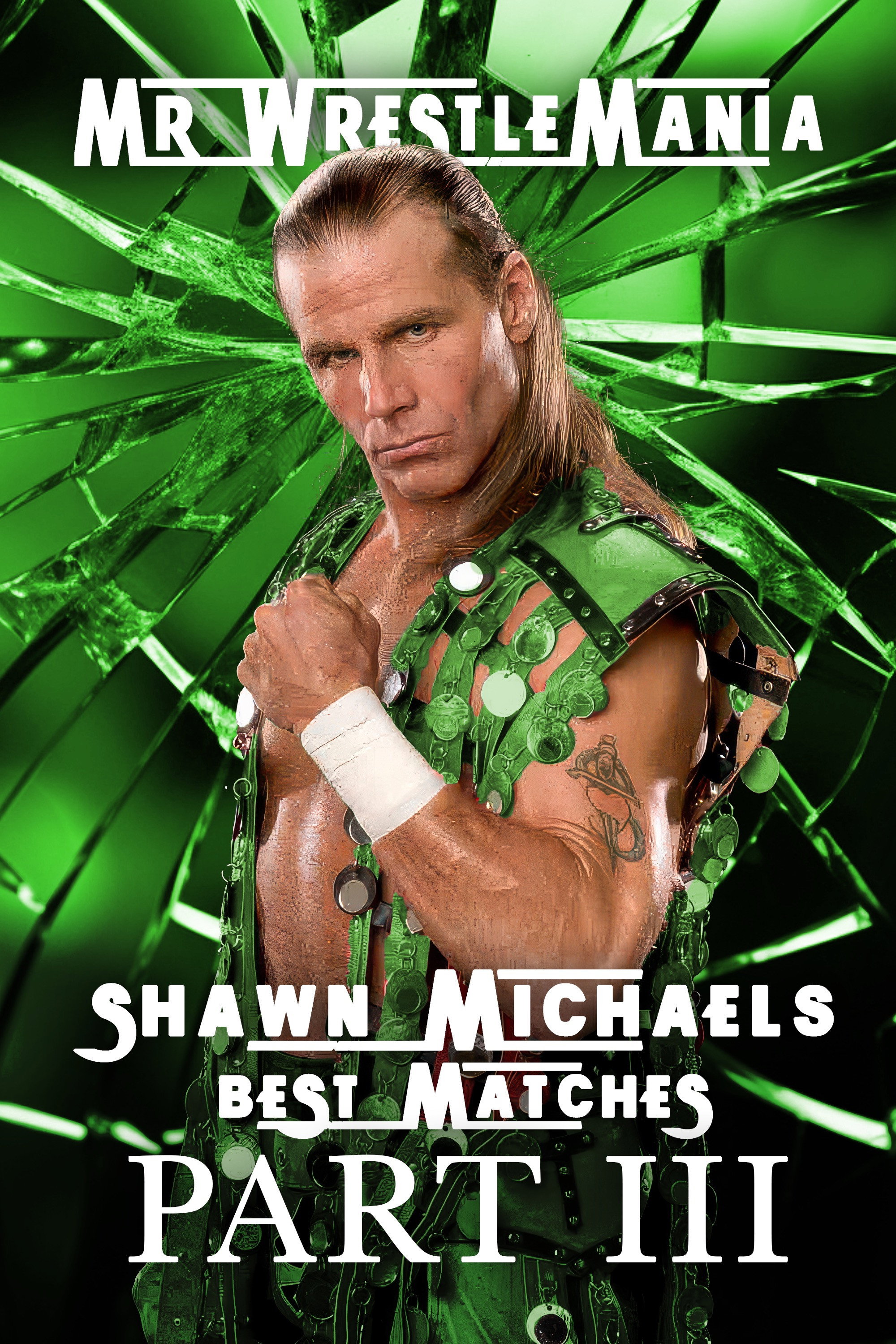 Mr. Wrestlemania: Shawn Michaels Best Matches - PART III