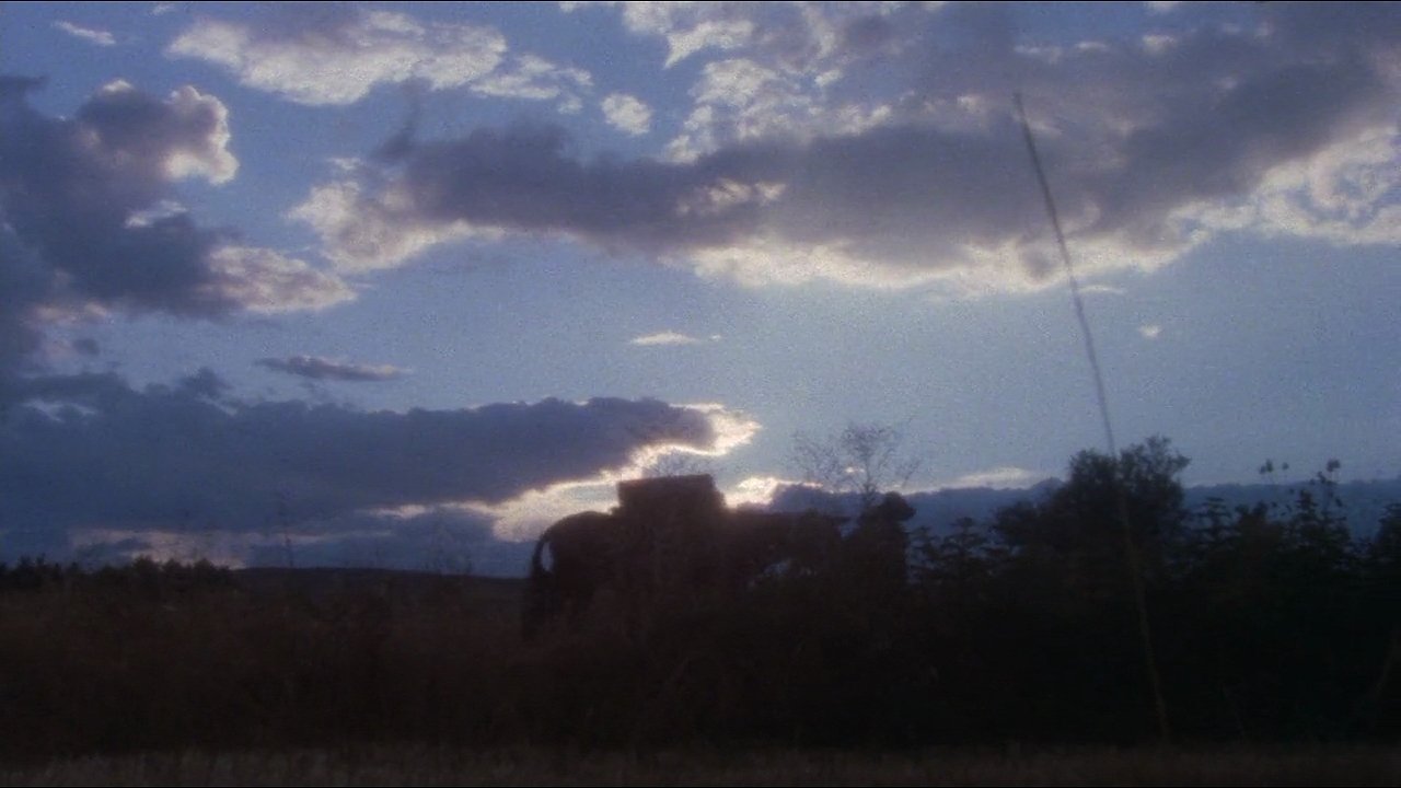 Le voyageur (1979)