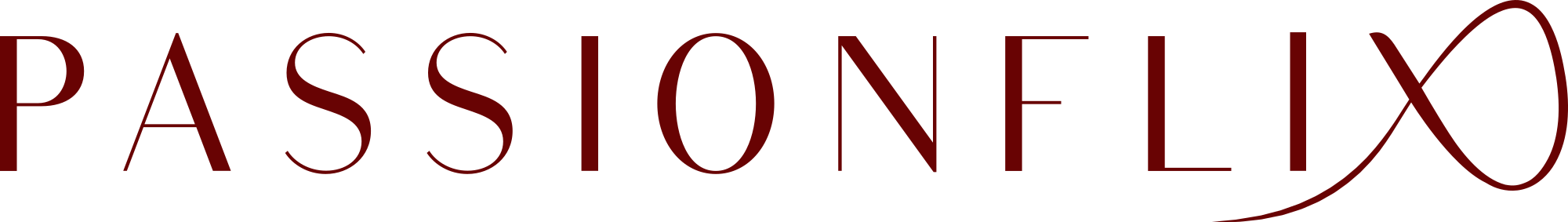 logo nextwork PassionFlix