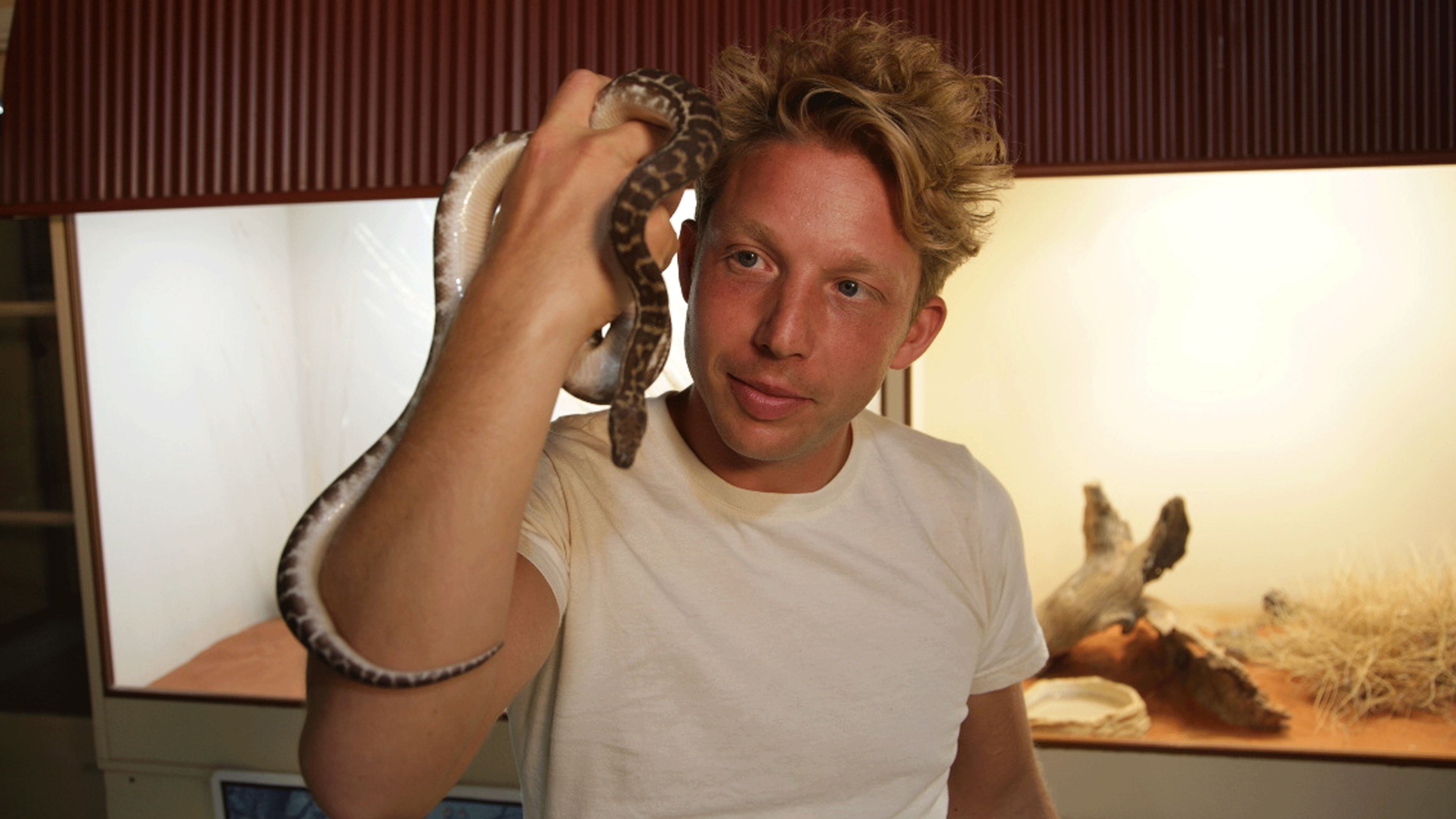 Thumbnail for The Most Venomous Snakes in the World Season 1 Episode 4