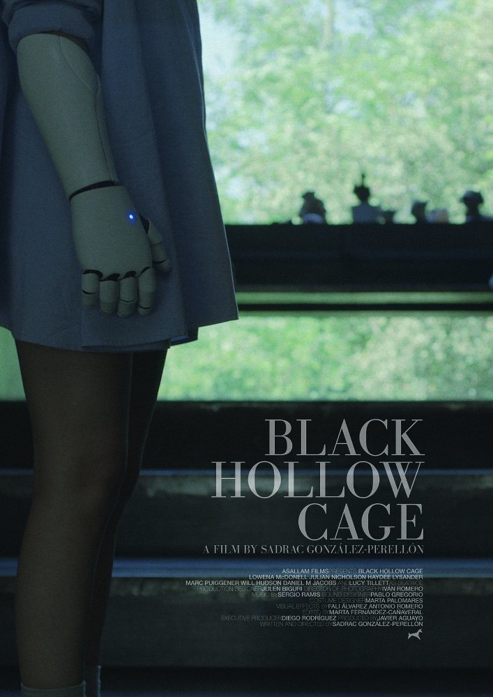 Black Hollow Cage