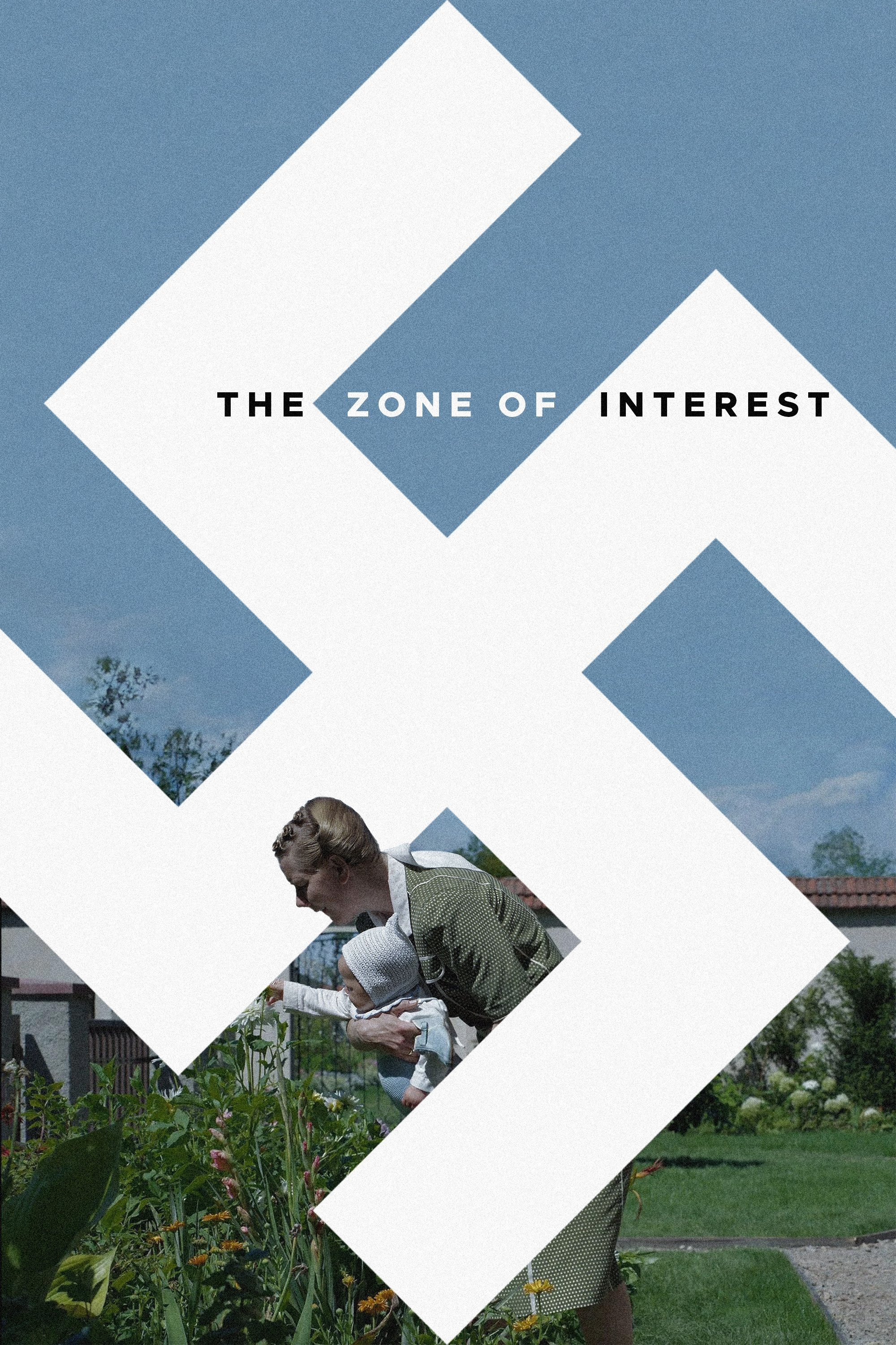 Image The Zone of Interest