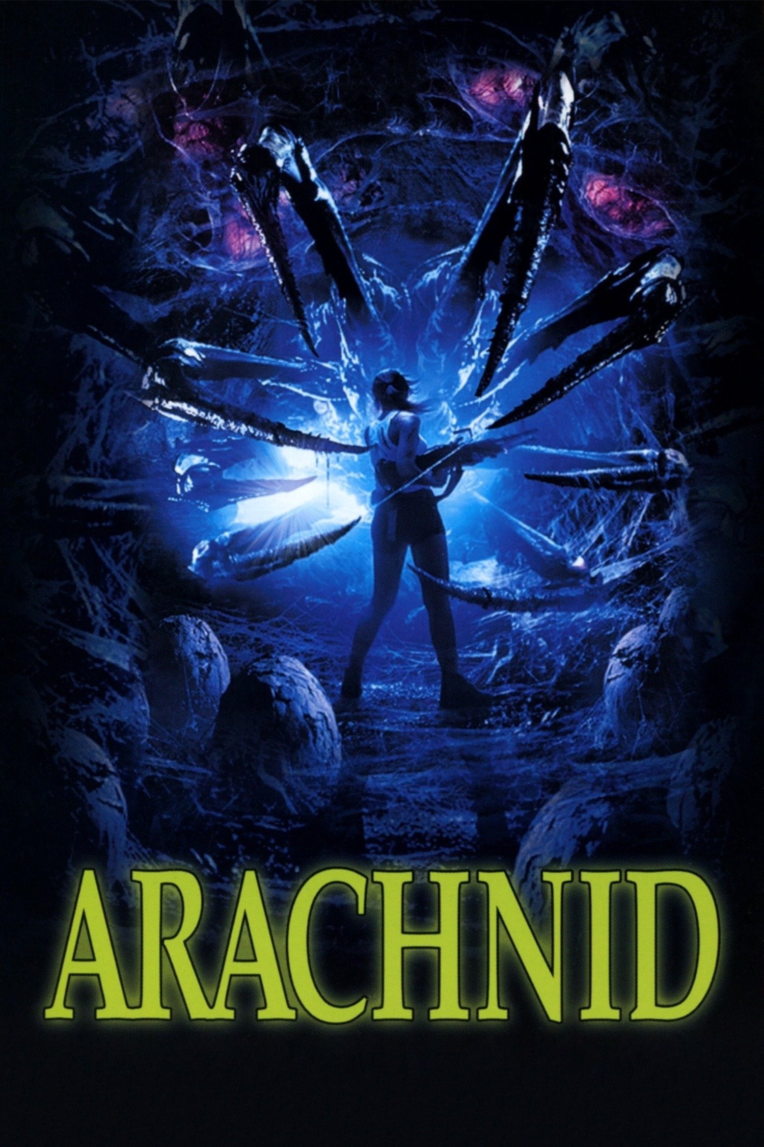 Arachnid