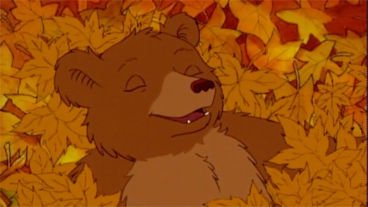 Little Bear
