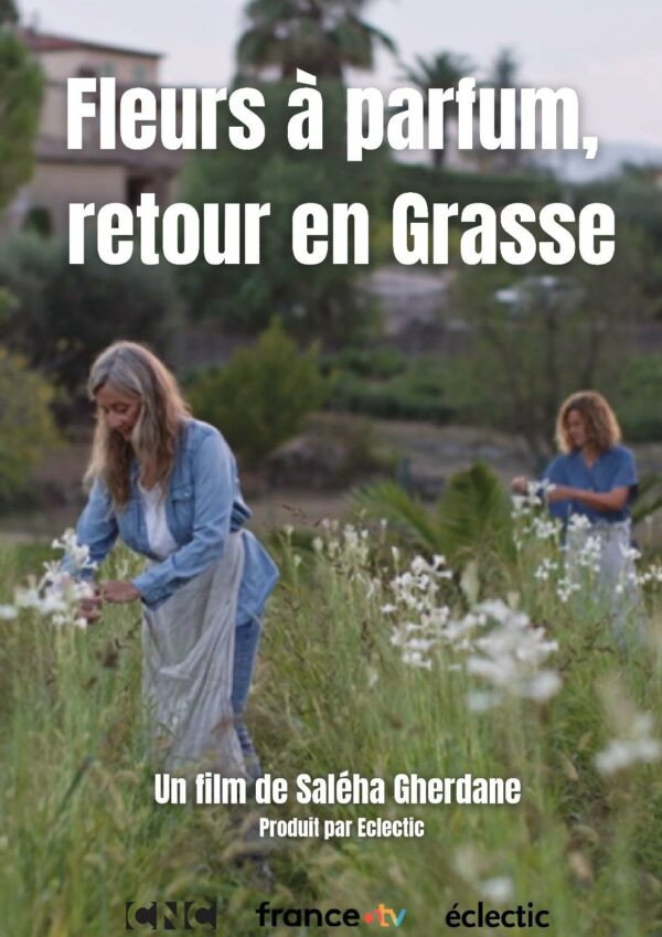 Fleurs &agrave; parfum, retour en Grasse