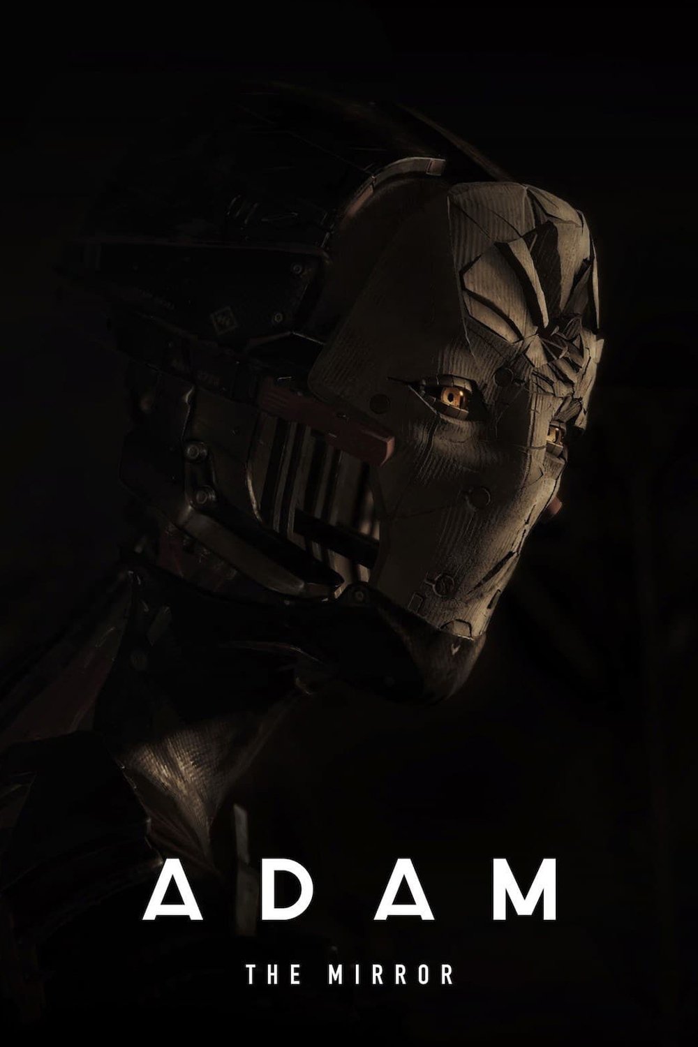 Adam: The Mirror